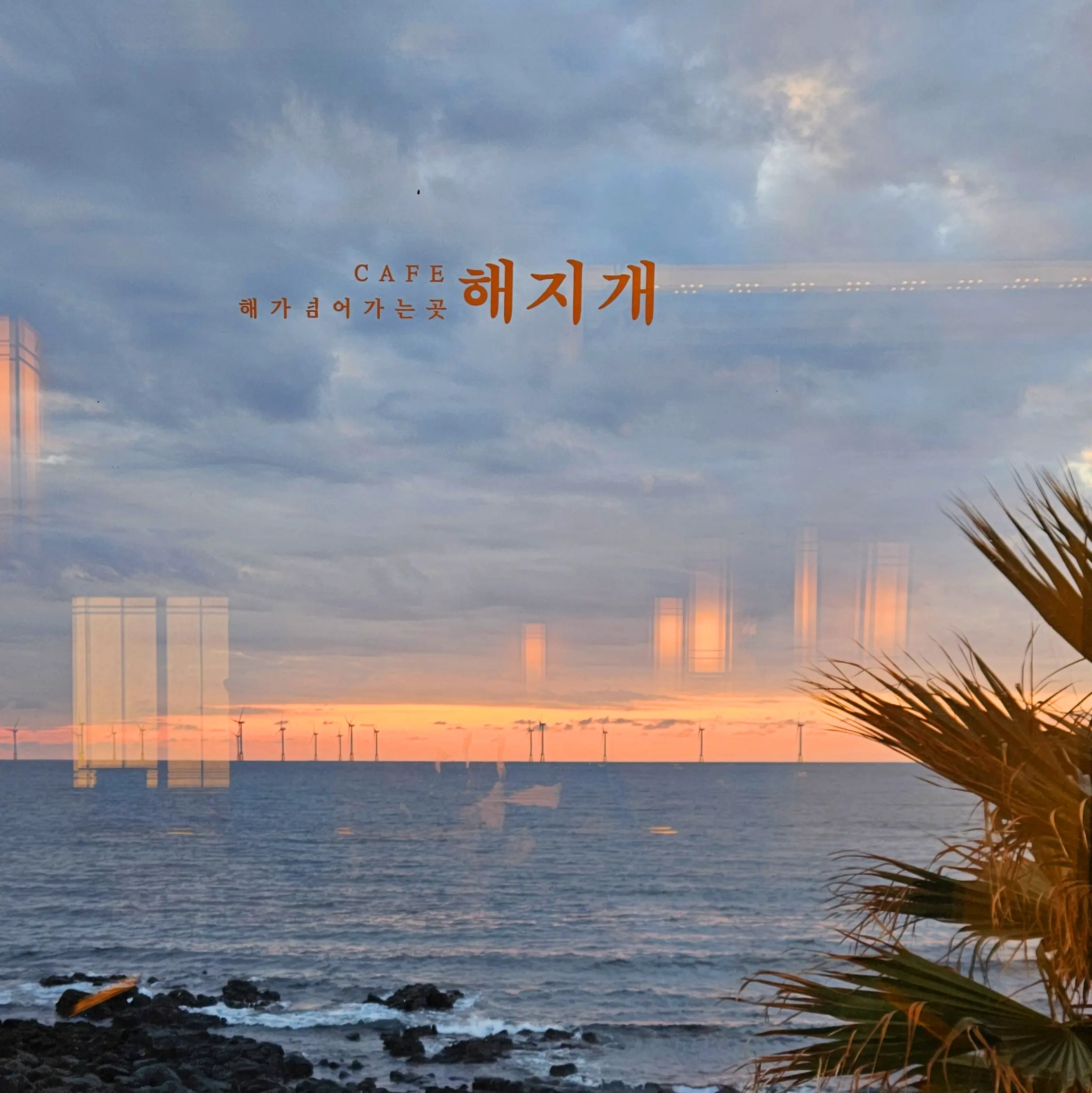 제주 해지개