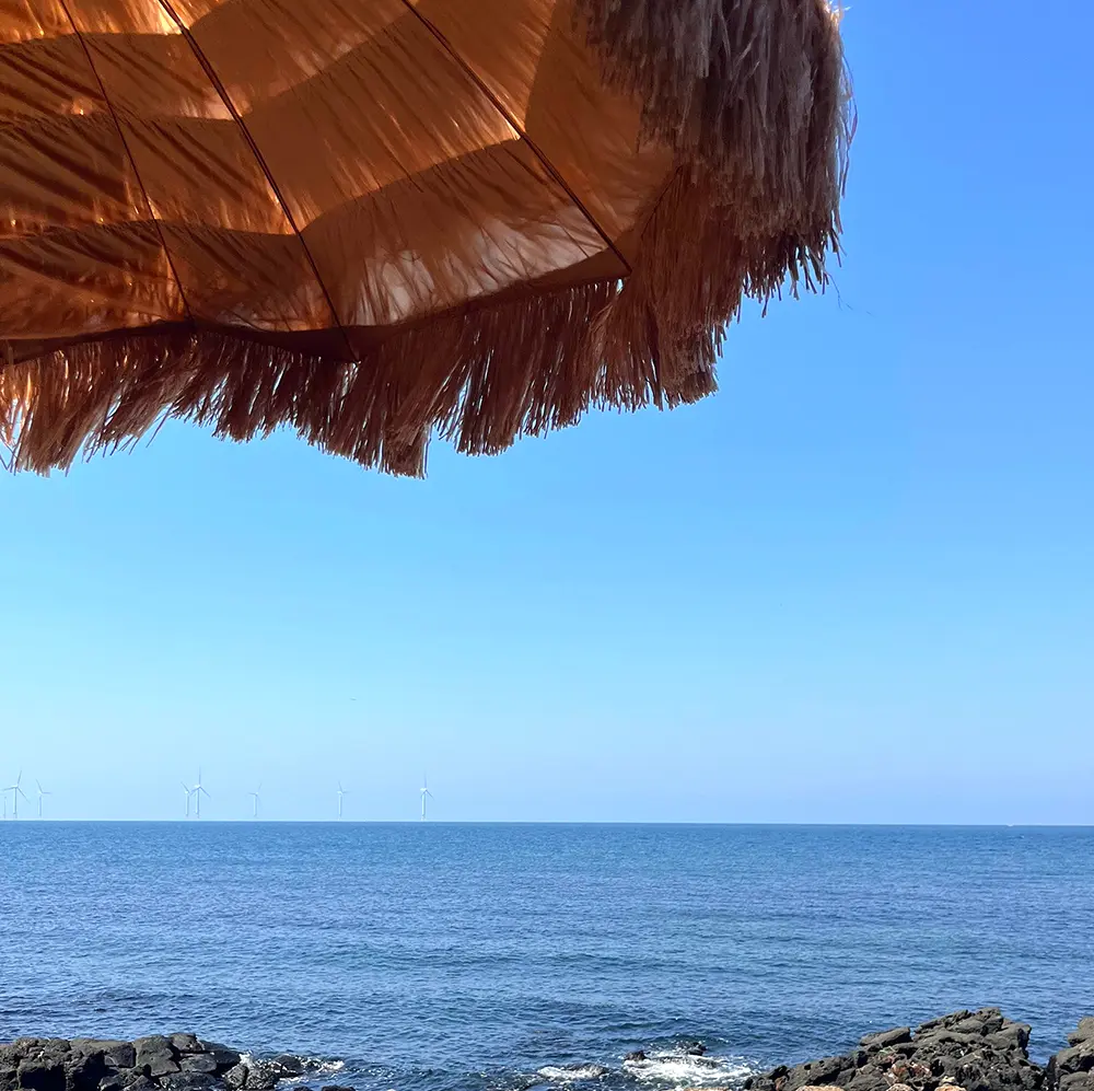 제주 해지개