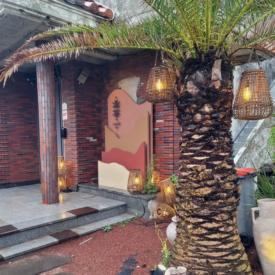 제주 오아시스80