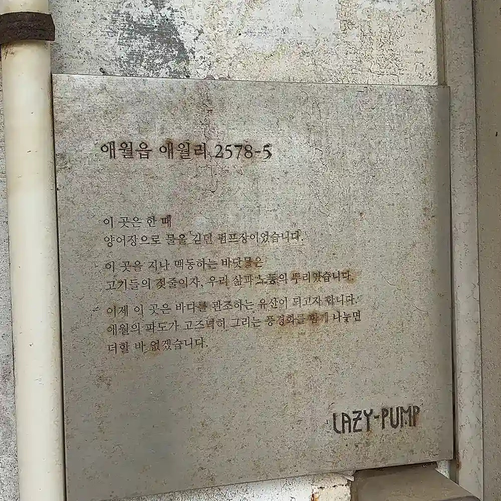 제주 레이지펌프