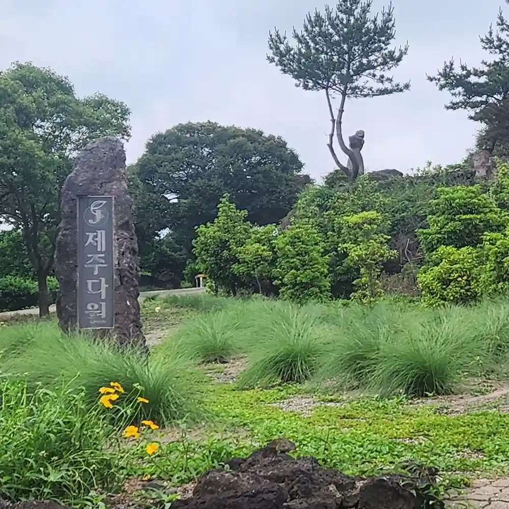 제주다원
